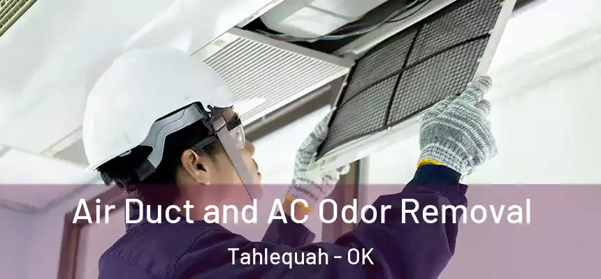  Air Duct and AC Odor Removal Tahlequah - OK