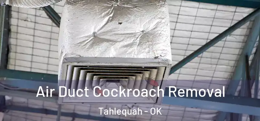 Air Duct Cockroach Removal Tahlequah - OK