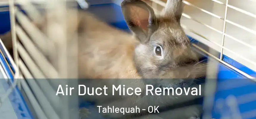 Air Duct Mice Removal Tahlequah - OK