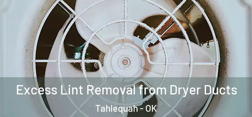  Excess Lint Removal from Dryer Ducts Tahlequah - OK