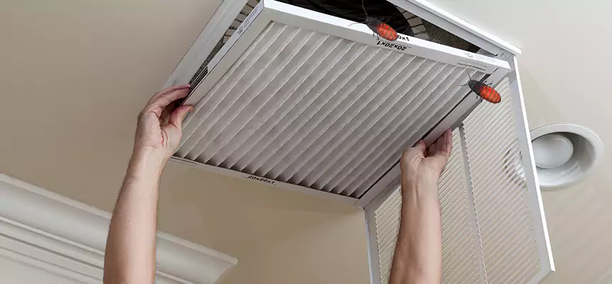 Preventive Cockroach-Proofing for Ducts in Tahlequah
