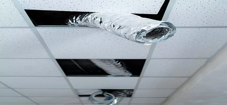 Affordable HVAC Sanitizing After Pest Removal in Tahlequah