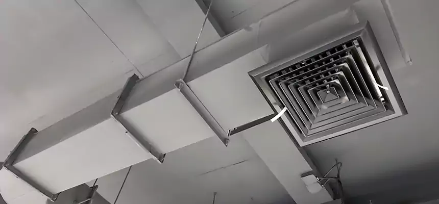 Our Pest Removal From Ducts Services in Tahlequah, OK