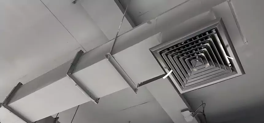 Our Rodent Droppings In Vents Services in Tahlequah, OK