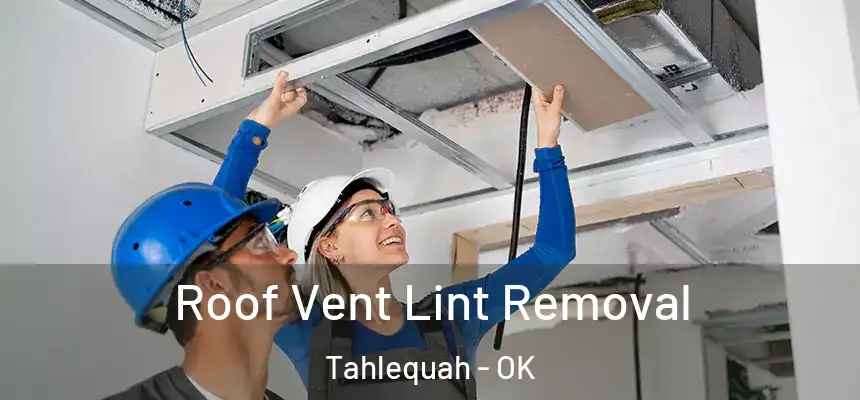  Roof Vent Lint Removal Tahlequah - OK
