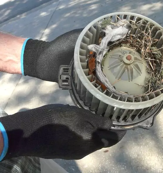 About Air Duct Mice Removal in Tahlequah, OK