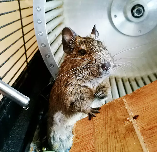 Why Homeowners & Businesses Trust Us Tahlequah, OK